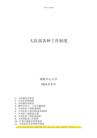 2024.8少先队工作各种制度