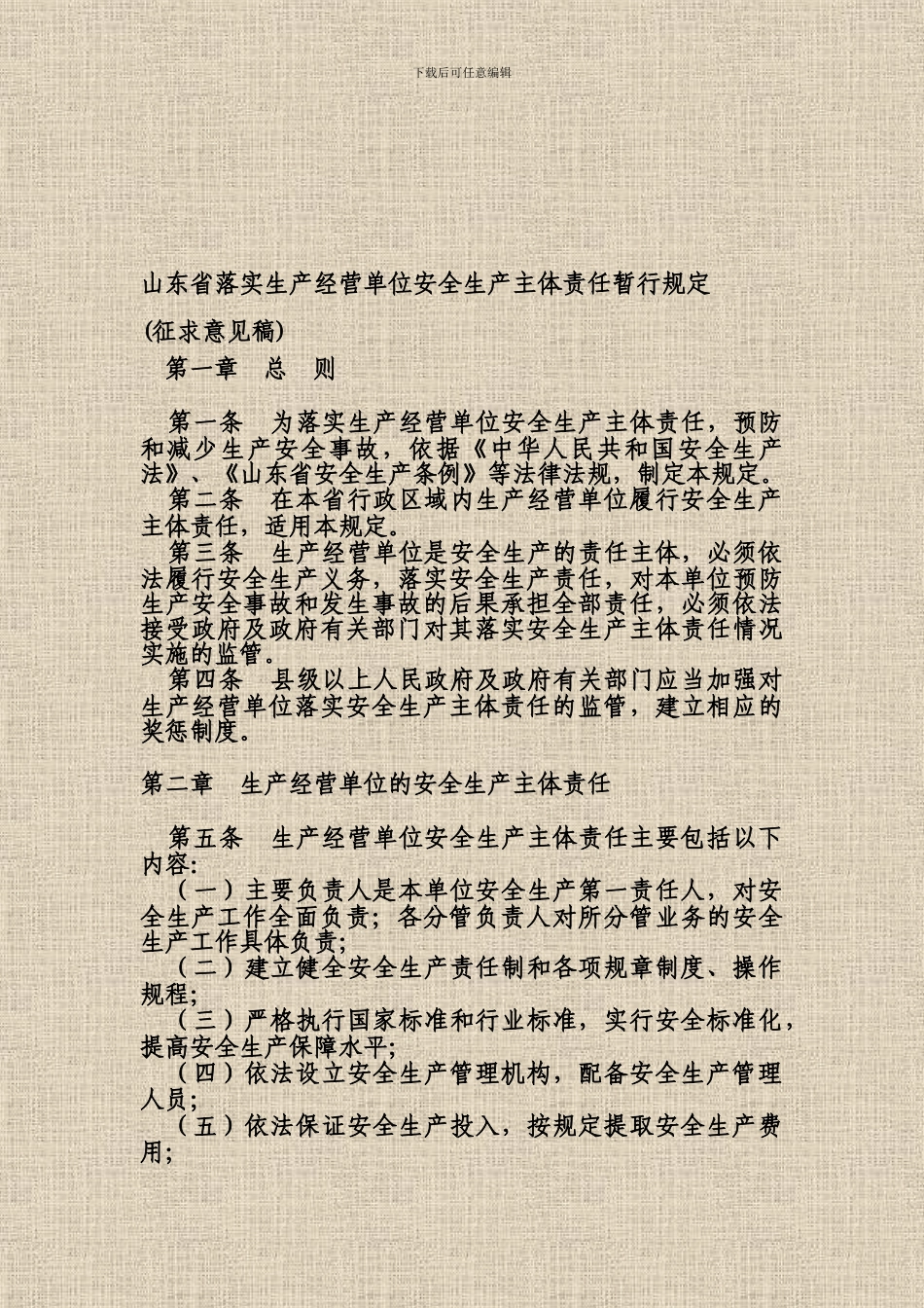 202404安全生产主体责任暂行规定_第1页