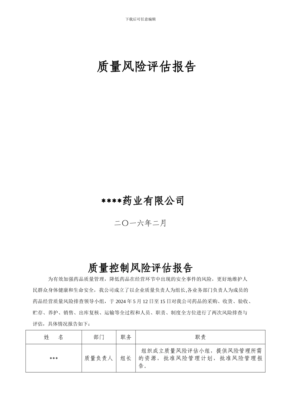 2024GSP质量风险排查与评估报告使用模板_第1页