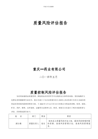 2024GSP质量风险排查与评估报告