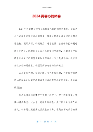 2024两会心的体会