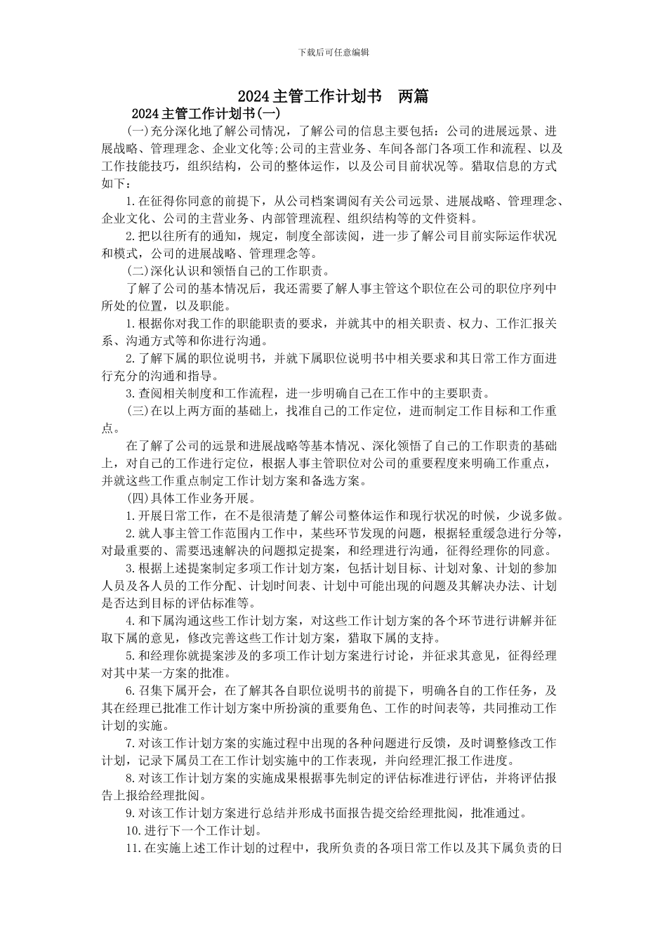 2024主管工作计划书--两篇_第1页