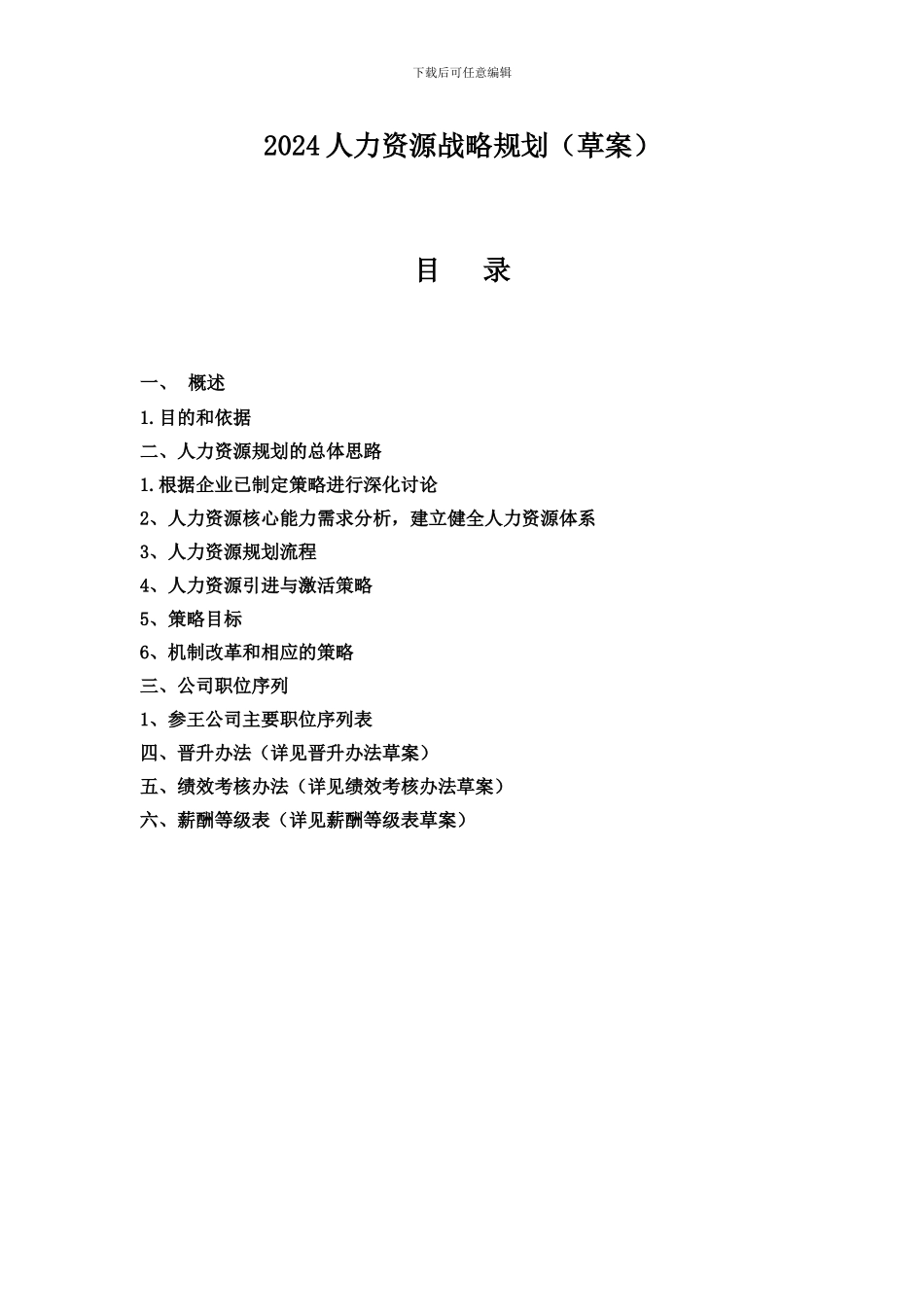 2024人力资源战略规划_第1页