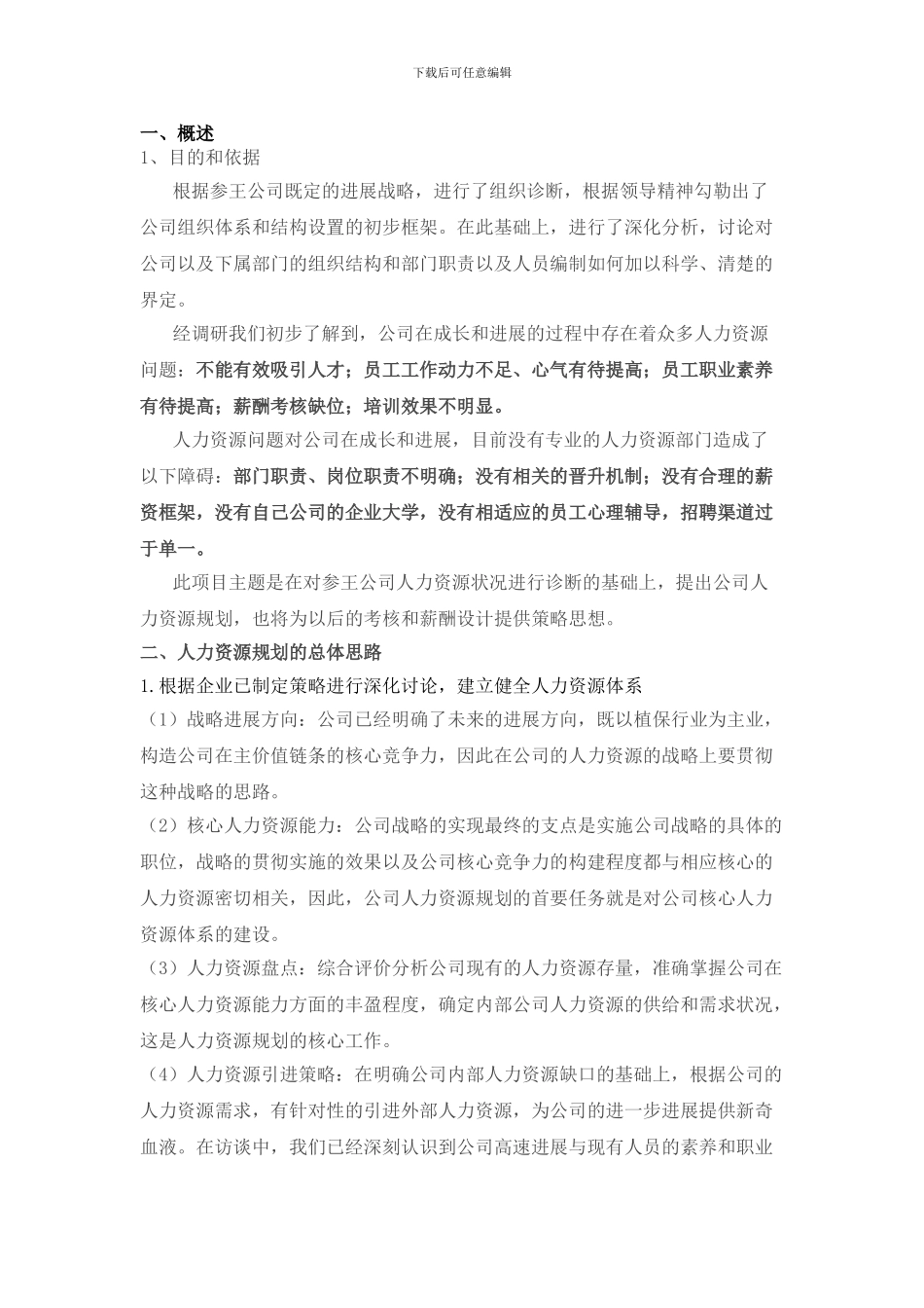 2024人力资源战略规划_第3页