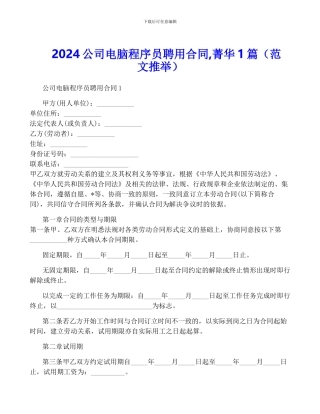 2024公司电脑程序员聘用合同-菁华1篇