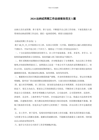 2024出纳试用期工作总结报告范文5篇