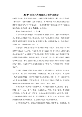 2024央视元宵晚会观后感作文最新