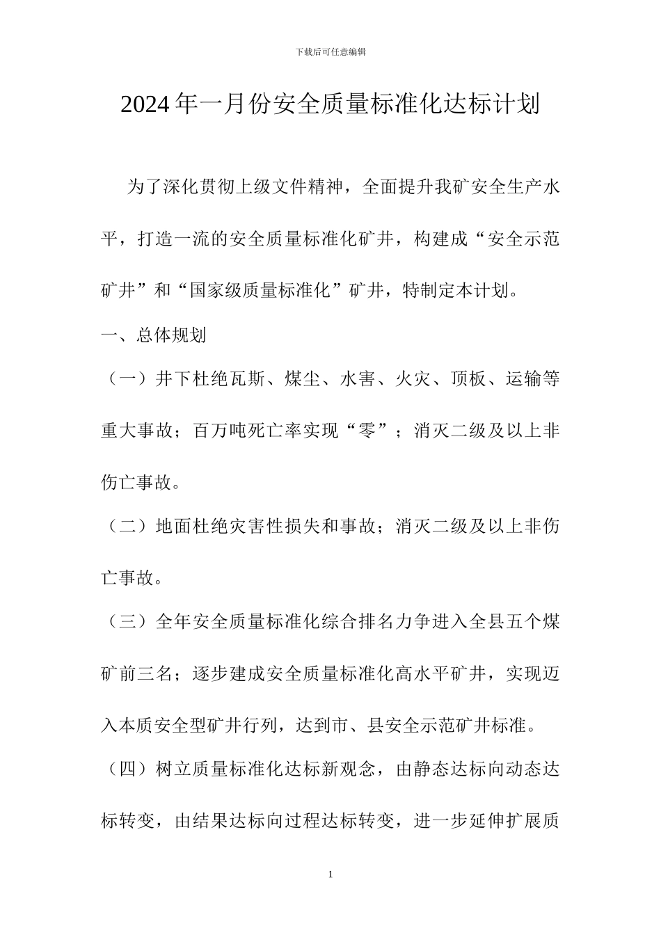 2024年一月份安全质量标准化达标规划_第1页