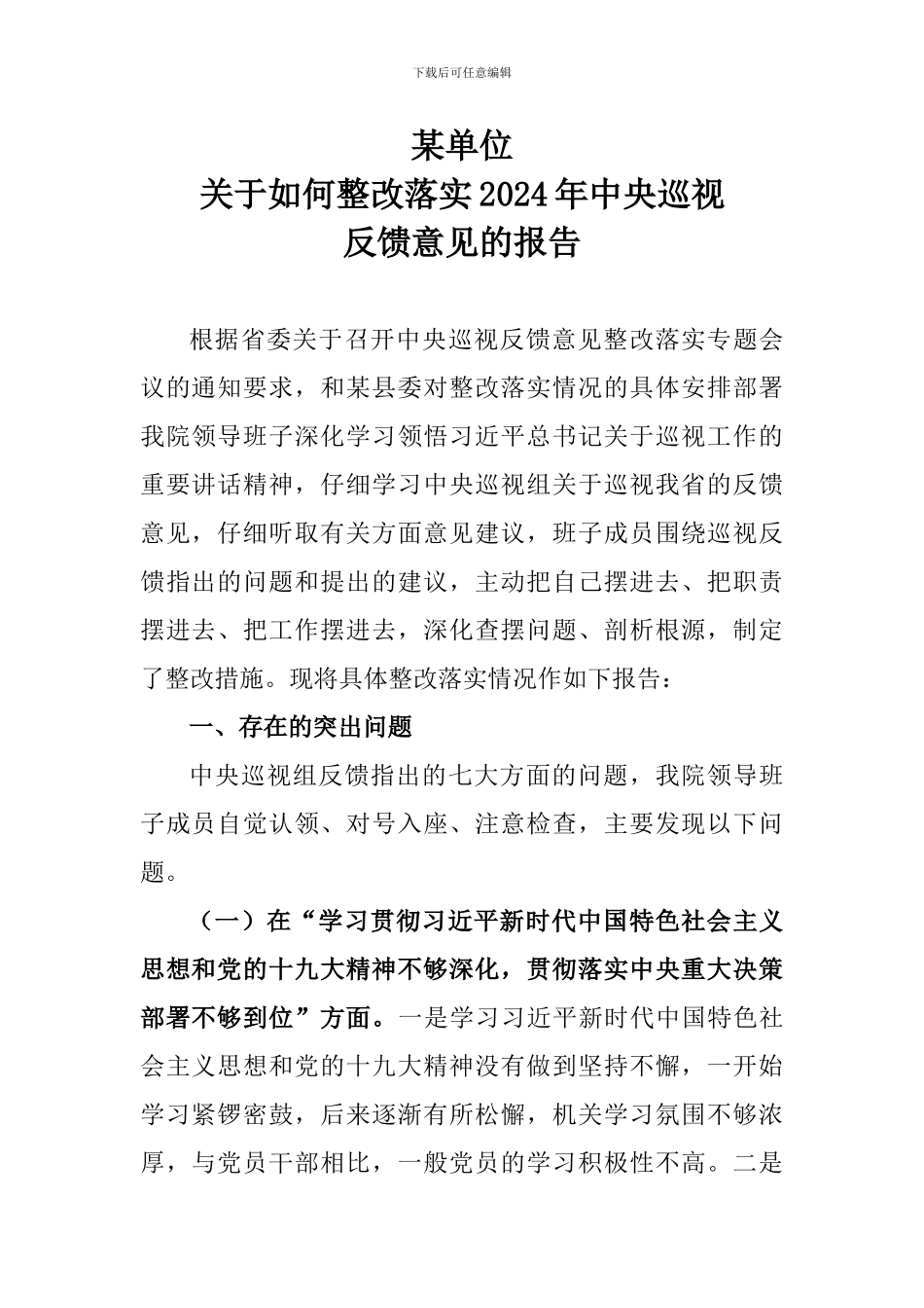 2024年中央巡视整改落实方案报告_第1页