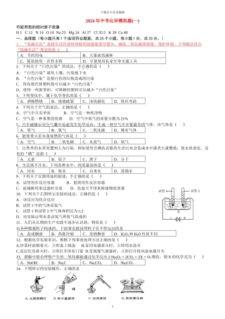 2024年中考化学模拟题及答案