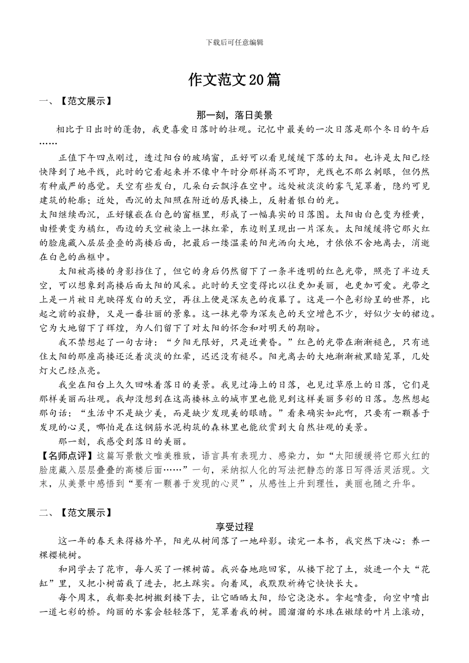 2024年中考语文作文范文20篇_第1页