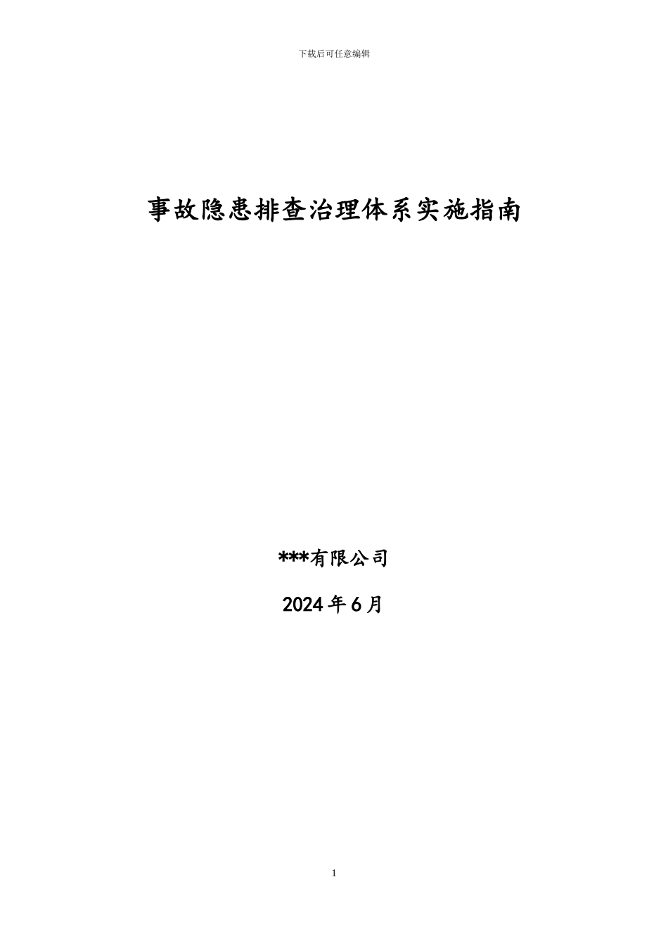 2024年事故隐患排查治理体系实施指南_第1页