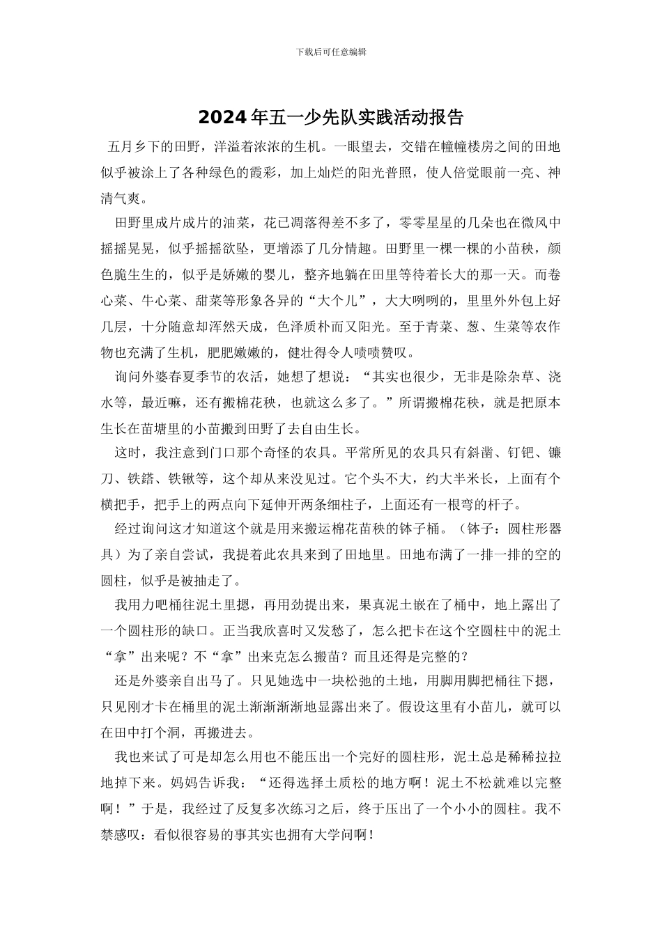 2024年五一少先队实践活动报告_第1页