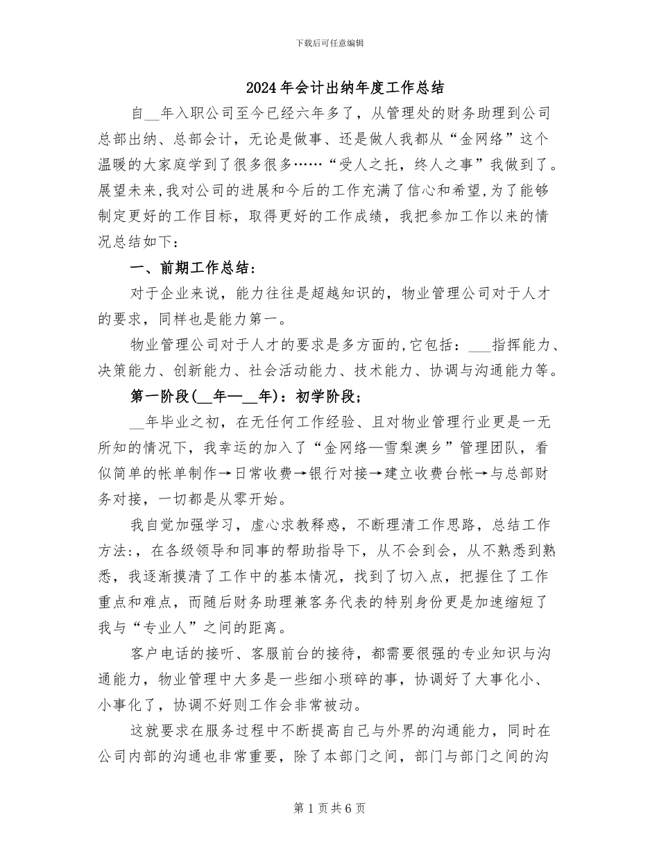 2024年会计出纳年度工作总结_第1页