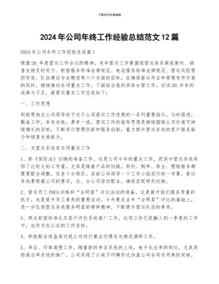 2024年公司年终工作经验总结范文12篇