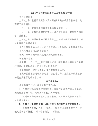2024年公司财务出纳个人工作总结与计划