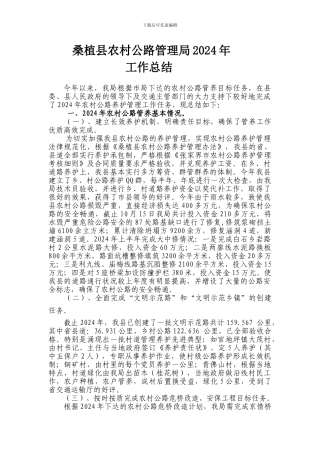 2024年农村公路工作总结