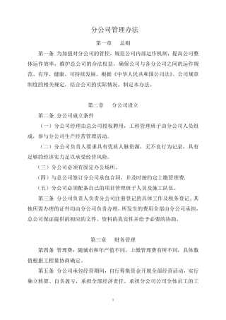 分公司管理办法