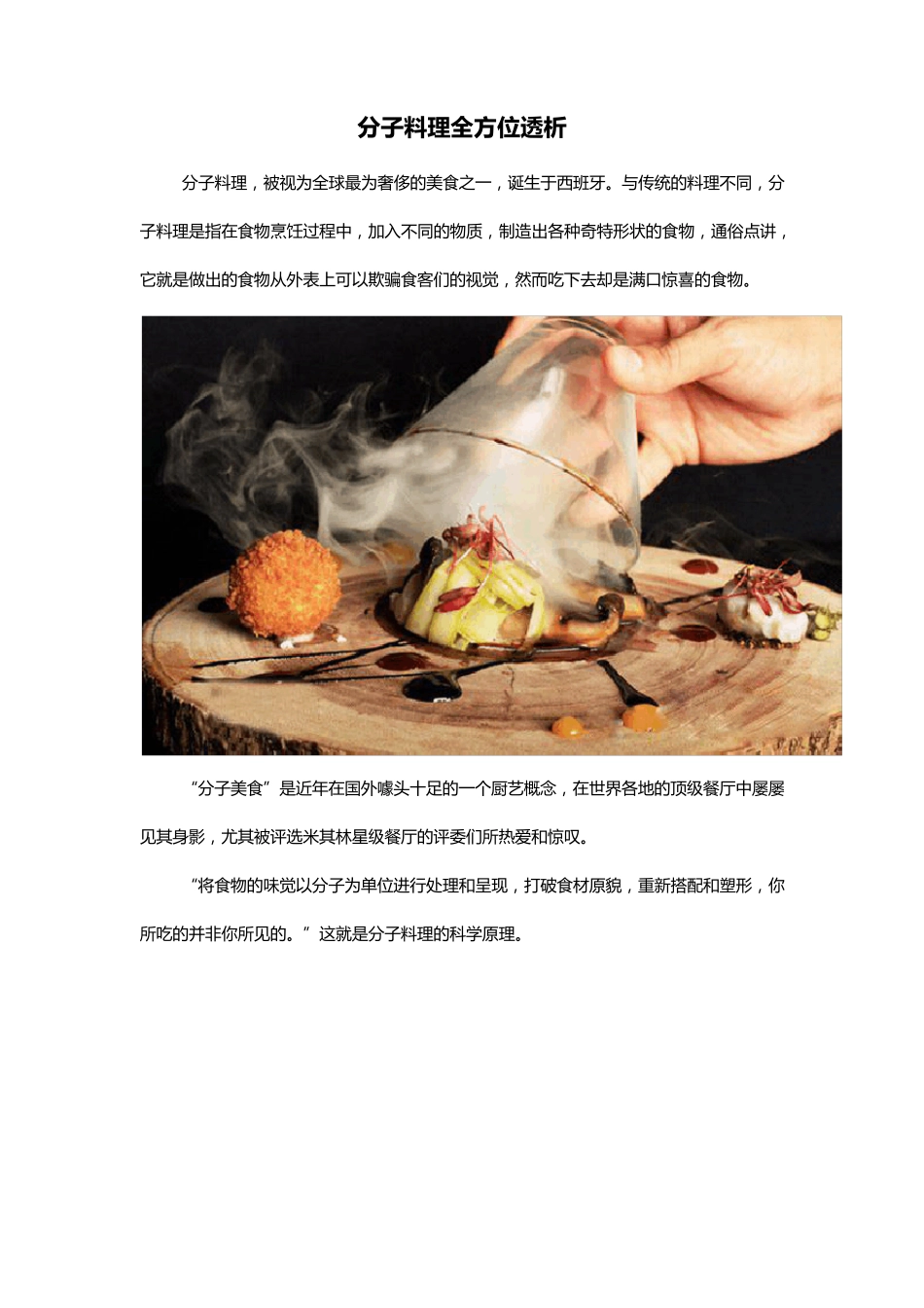 分子料理全方位透析_第1页