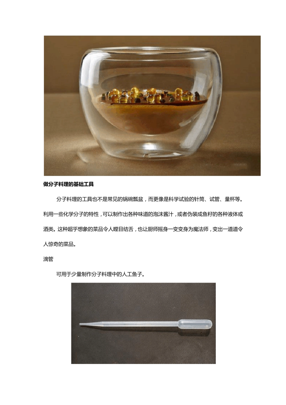 分子料理全方位透析_第2页