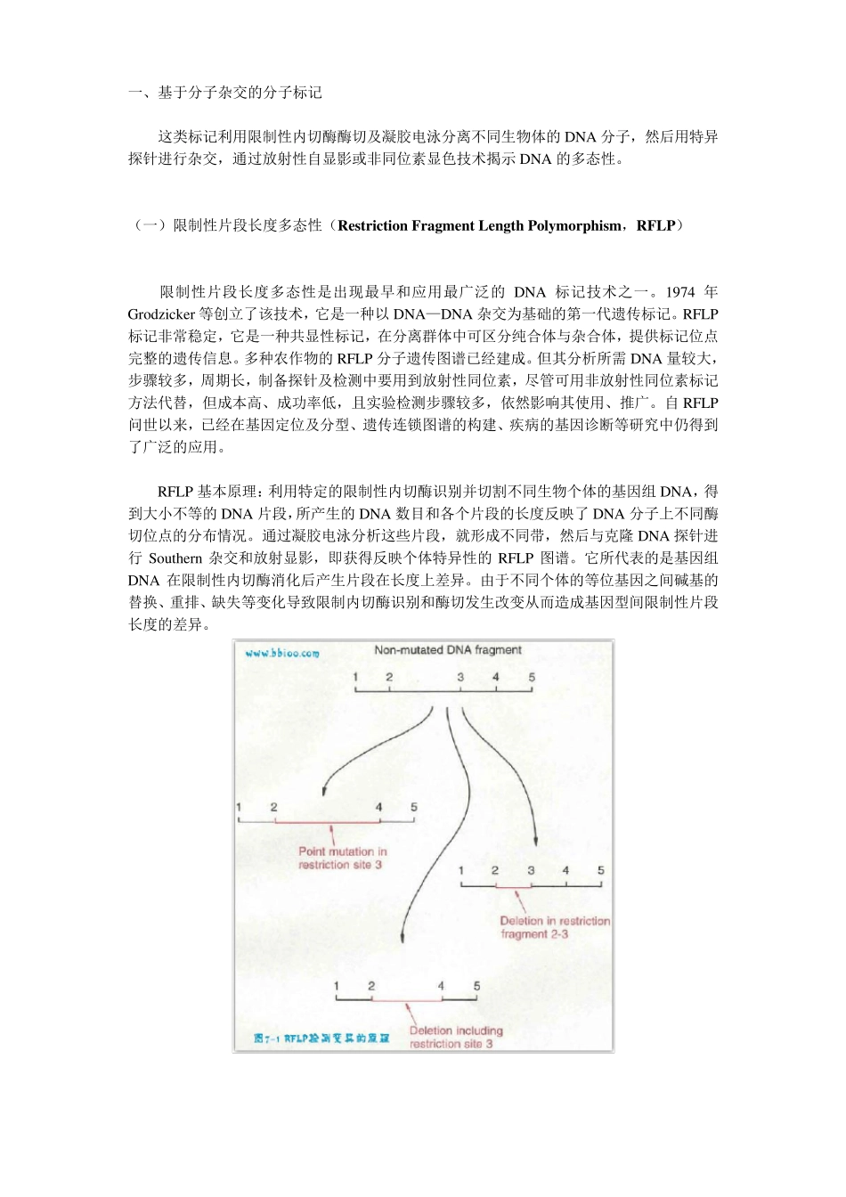 分子标记种类及概述_第2页