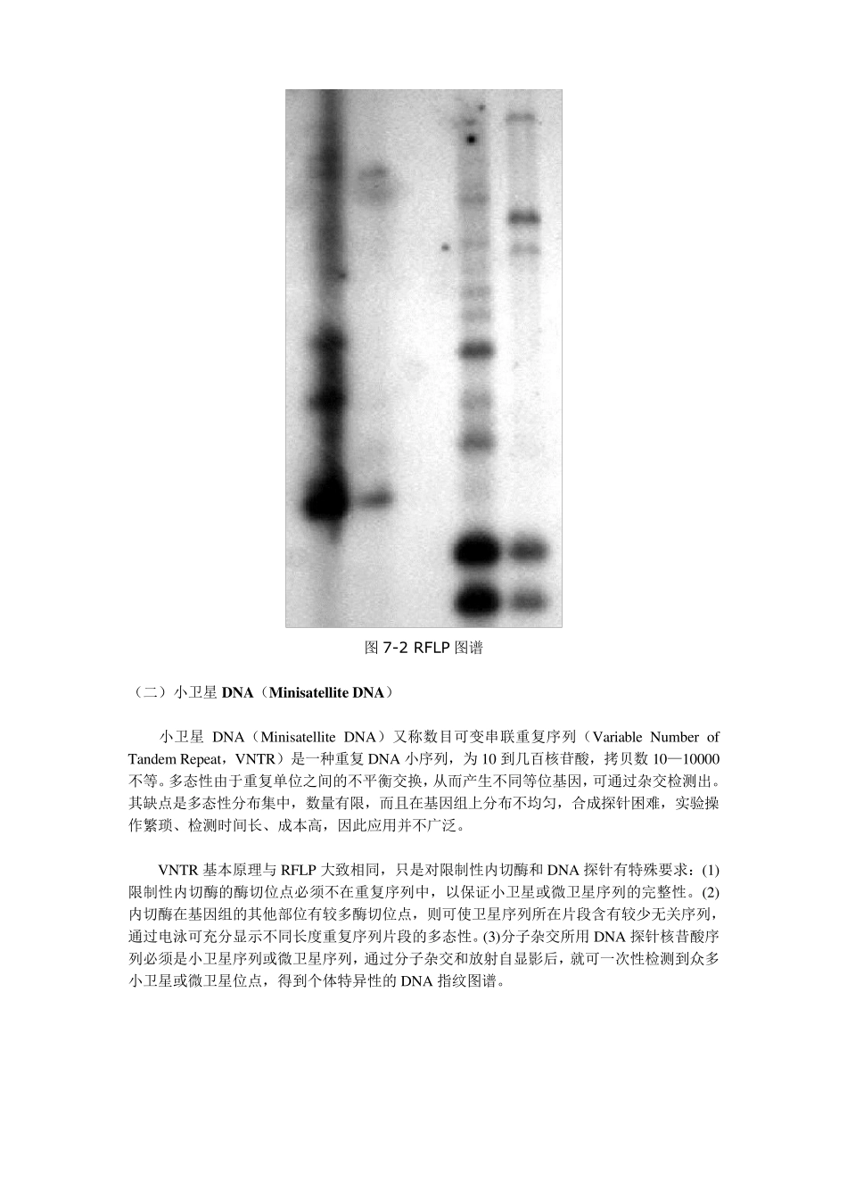 分子标记种类及概述_第3页