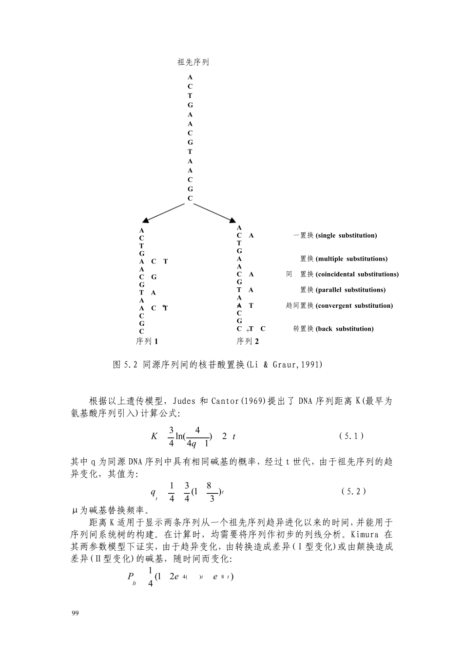 分子进化：系统树的构建_第3页
