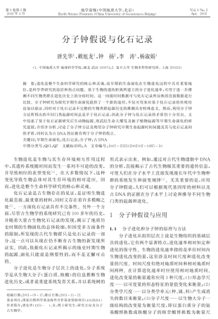 分子钟假说与化石记录