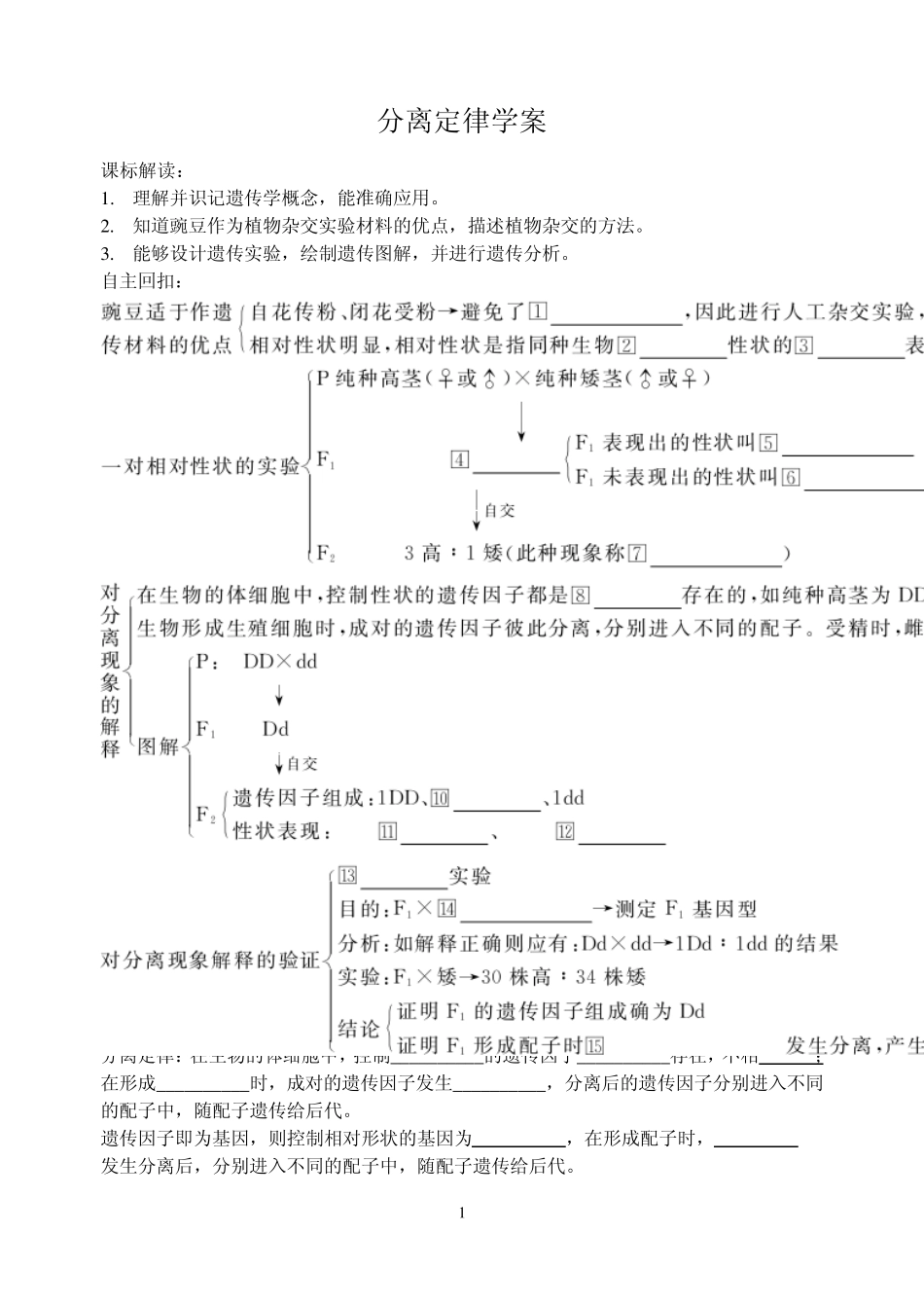 分离定律学案_第1页