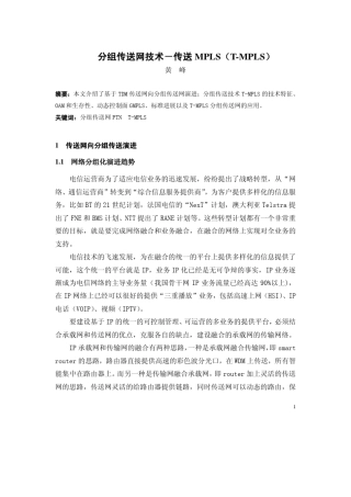 分组传送网技术传送MPLS(TMPLS)
