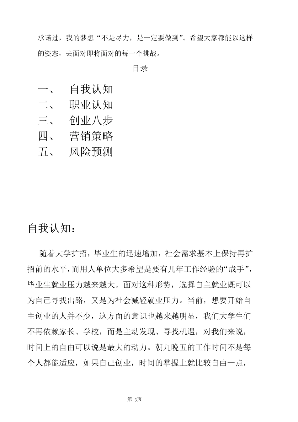 创业计划书(工艺品)_第3页