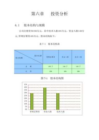 创业计划书财务分析与风险