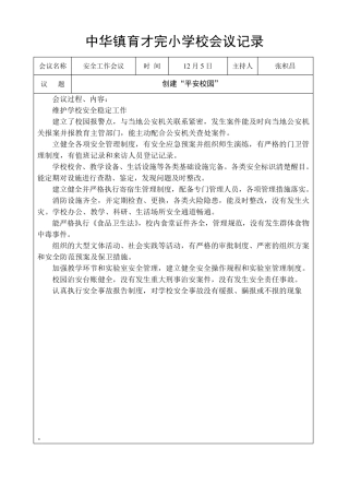 创建“平安校园”专题会议记录