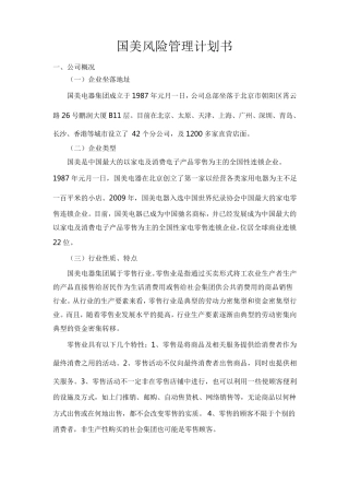 国美风险管理计划书