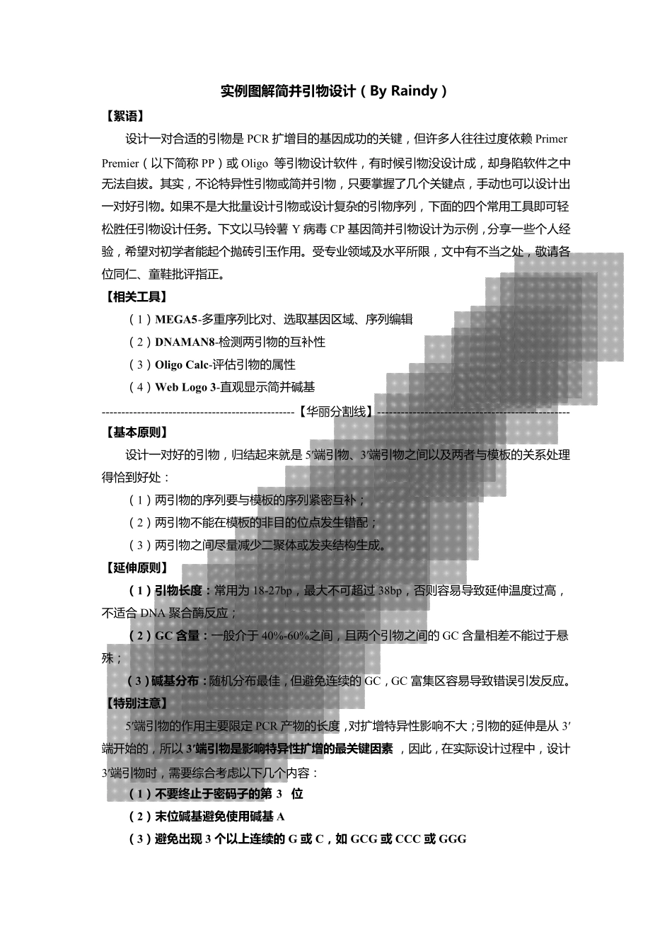图解引物设计_第2页