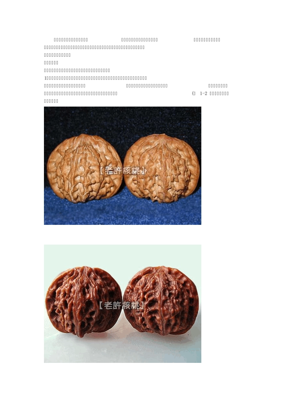 图解文玩核桃的种类和特点(核桃图鉴)_第1页