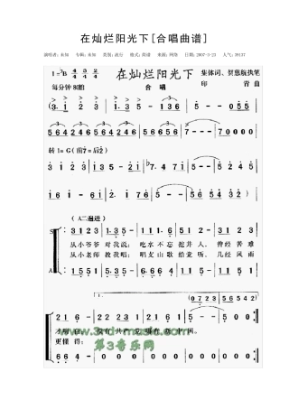 在灿烂阳光下简谱