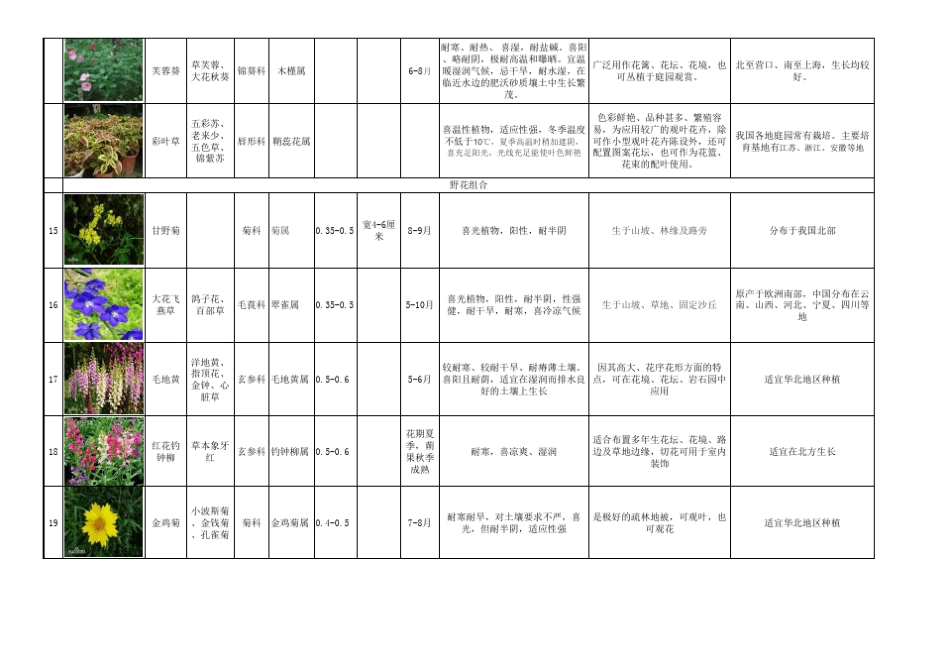 地被类植物表_第3页