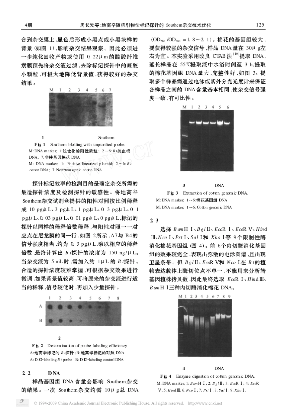 地高辛随机引物法标记探针的Southern杂交技术优化_第3页