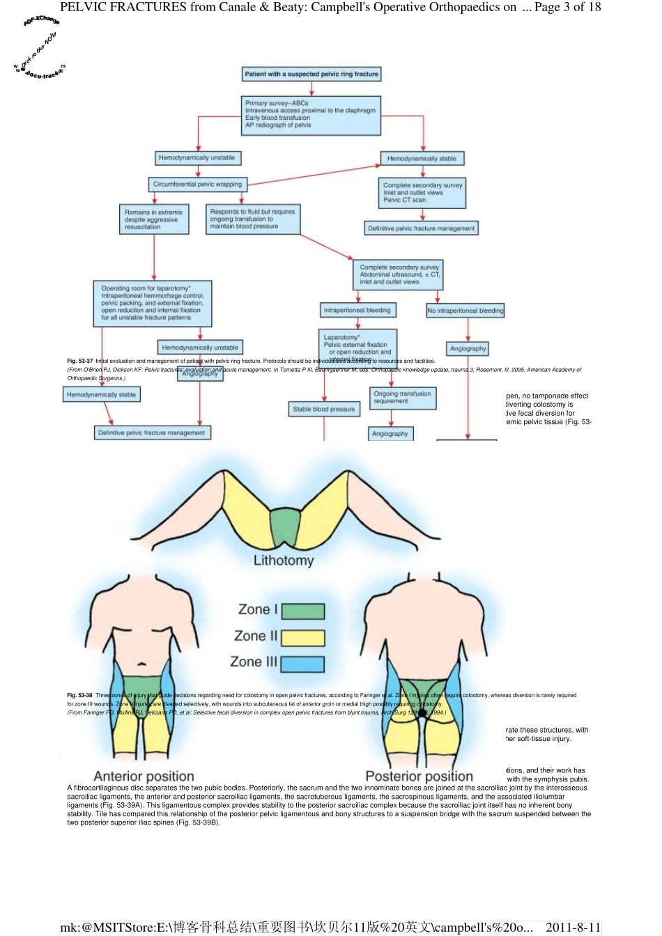 坎贝尔骨科手术学(英文版)_第3卷骨盆骨折_第3页