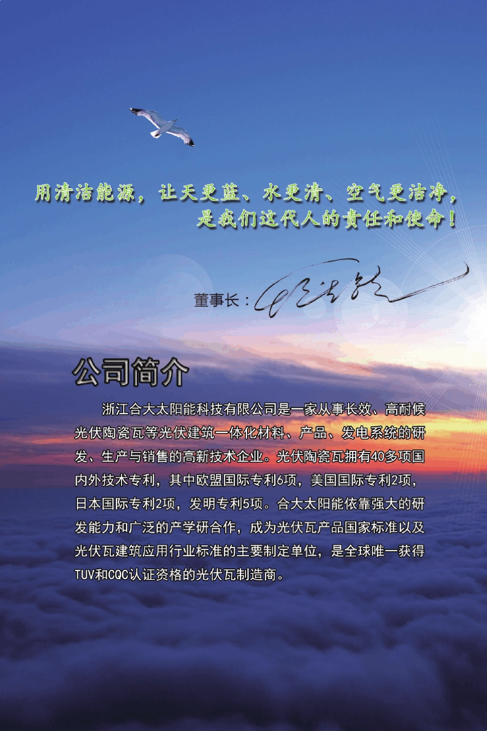 坡屋面光伏瓦发电企业规范(设计院)140x210mm_第2页