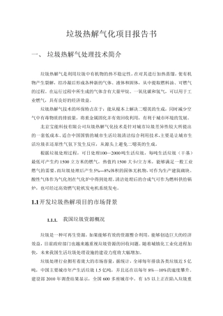 垃圾热解气化项目报告书