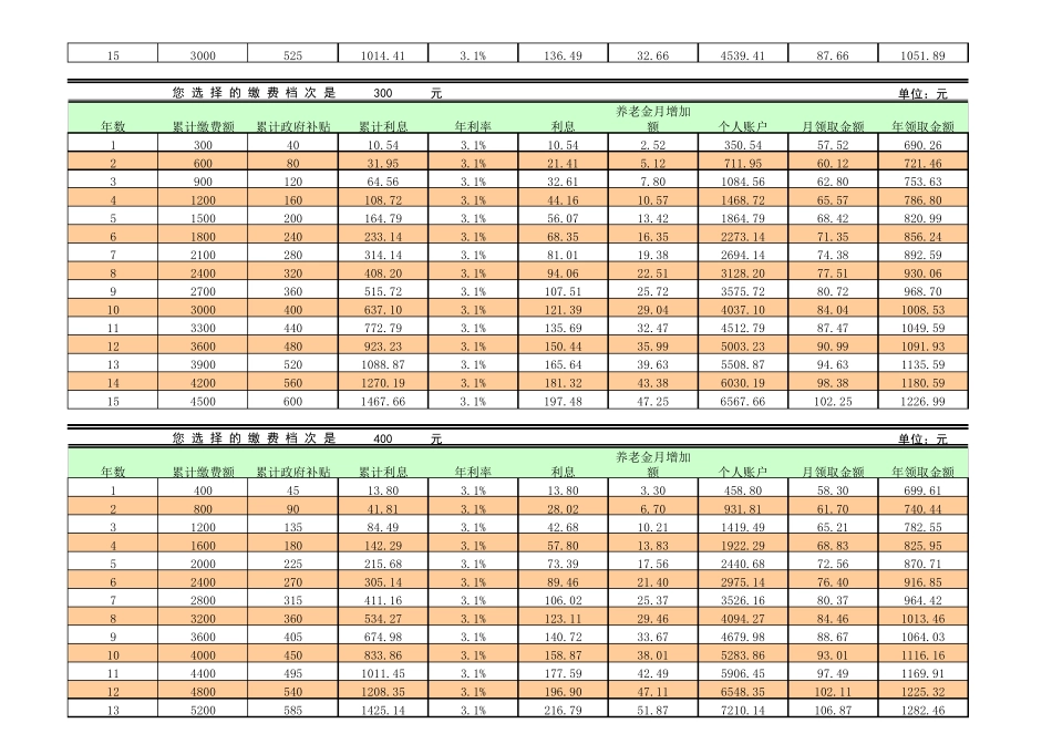 城乡居民养老保险计算表_第2页