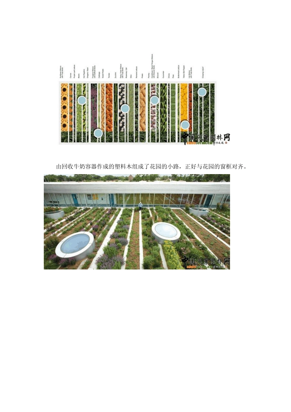 城市农业的屋顶花园_第3页