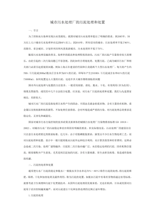 城市污水处理厂的污泥处理和处置