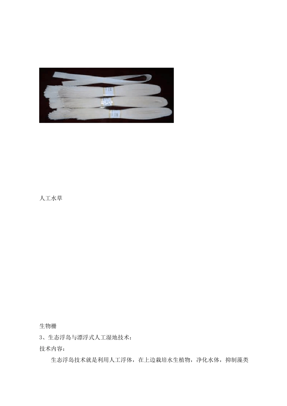 城市河道(黑臭河涌)生态修复技术_第3页