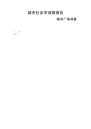 城市社会学调查报告