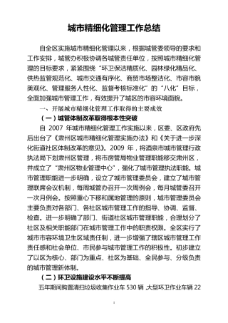城市精细化管理工作总结