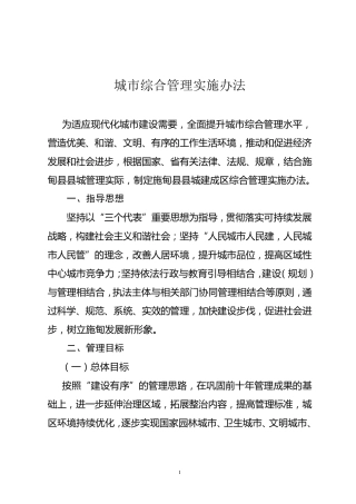 城市综合管理实施办法