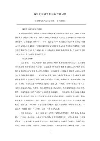 城投公司融资和风险管理问题
